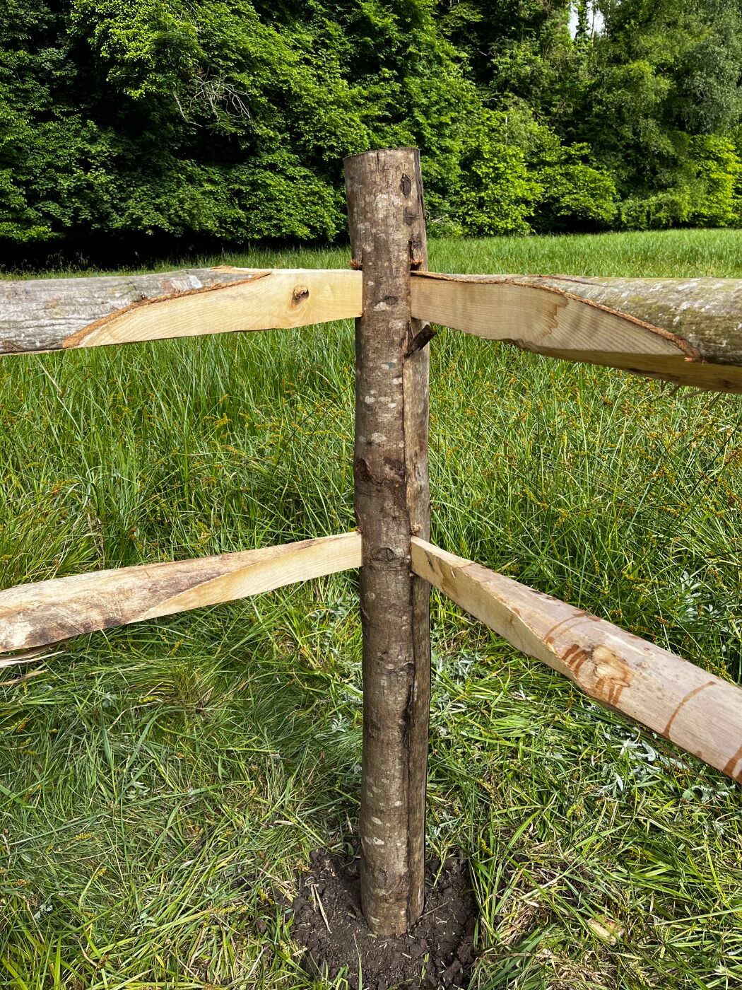 Cleft Split Chestnut Post & Rail Fencing, with 2 or 3 mortice posts -  Brandon Thatchers