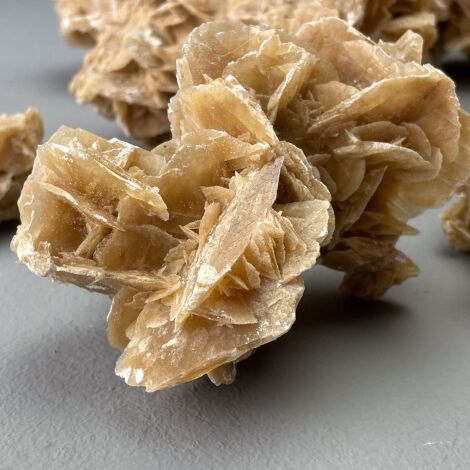 Uncut Crystal. Natural Dried Deco