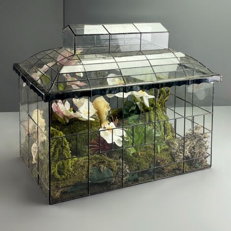 Glass Terrarium - RENTAL ONLY