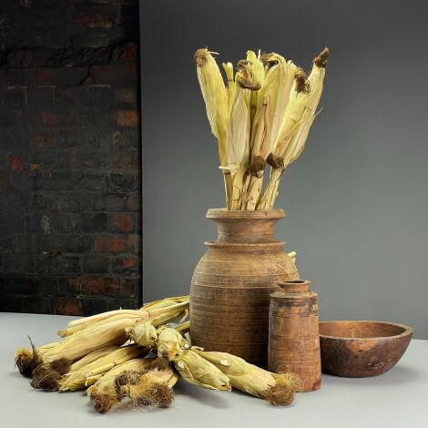 Maize Heads Wrapped x 2, approx. 30 cm long each with husk, natural, dried floral deco