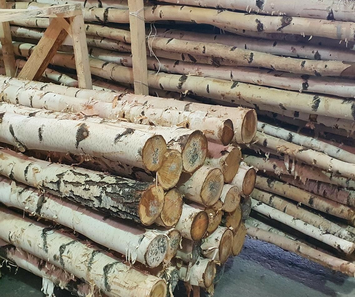Birch logs/Poles 2 to 3 D x 7 ft.